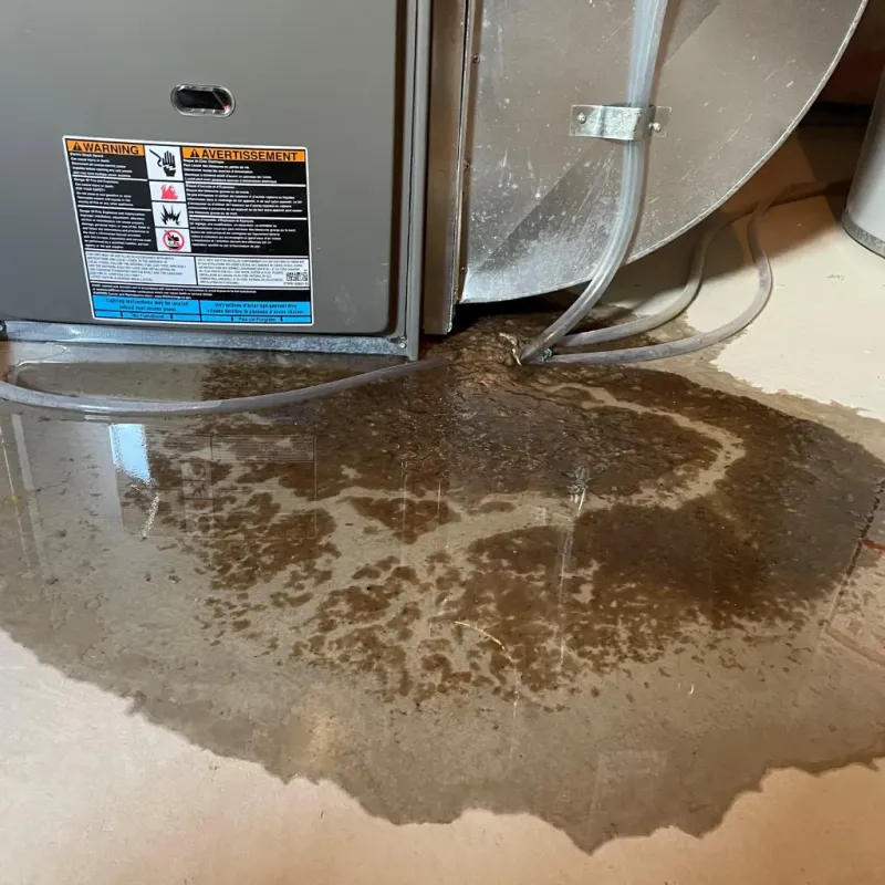 Appliance Leak Cleanup in Tracy, CA